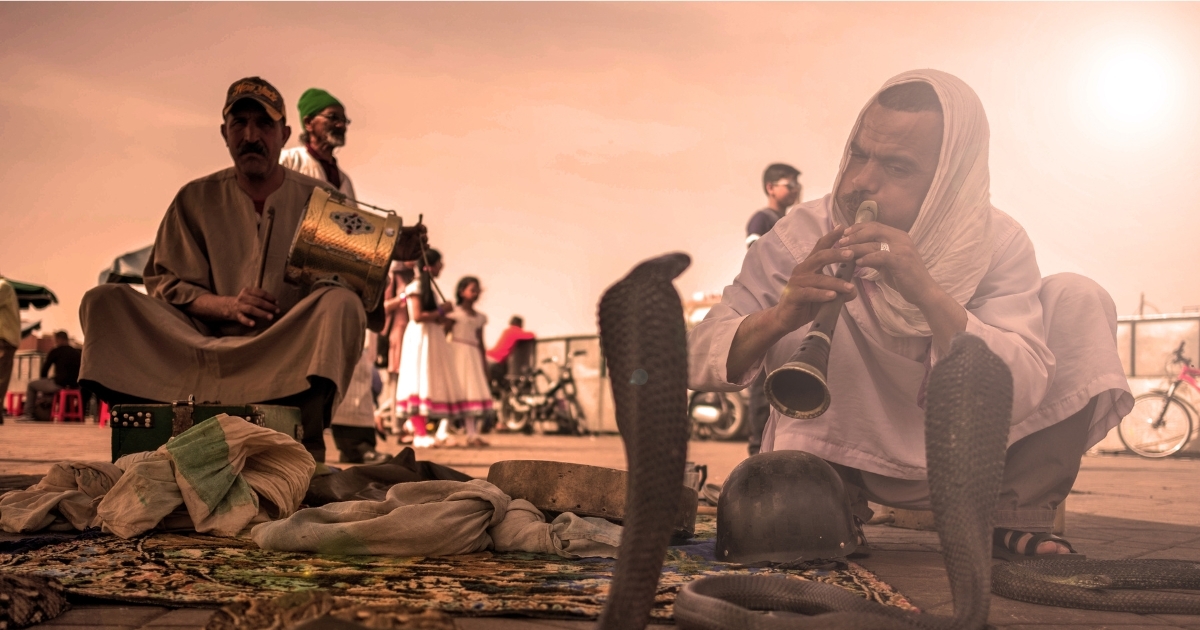 Jemaa al Fnaa snake charmer VISITMARRAKECHREGION