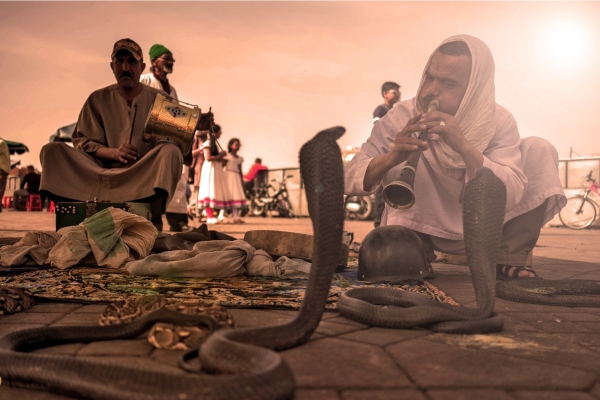 Jemaa al Fnaa snake charmer VISITMARRAKECHREGION